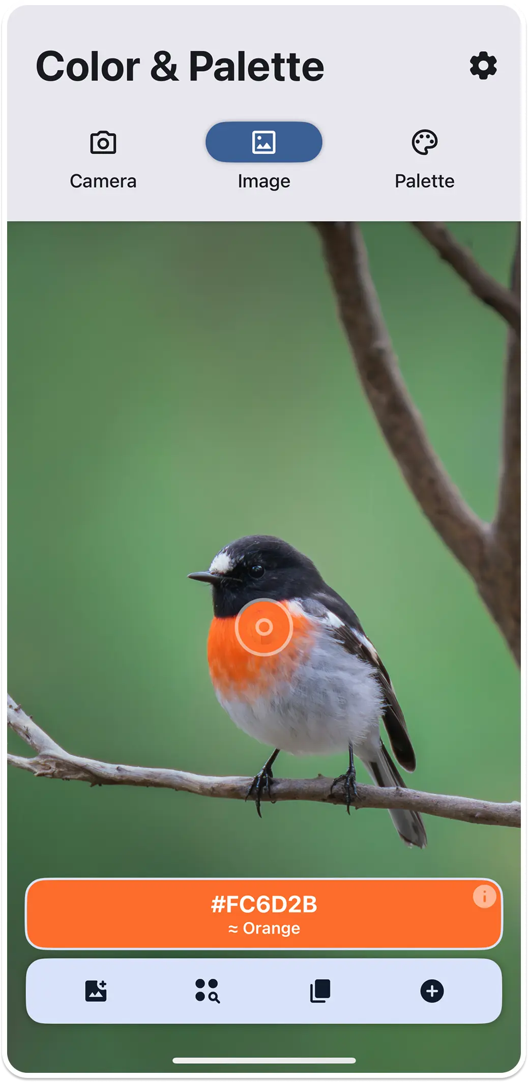 Pick color from image